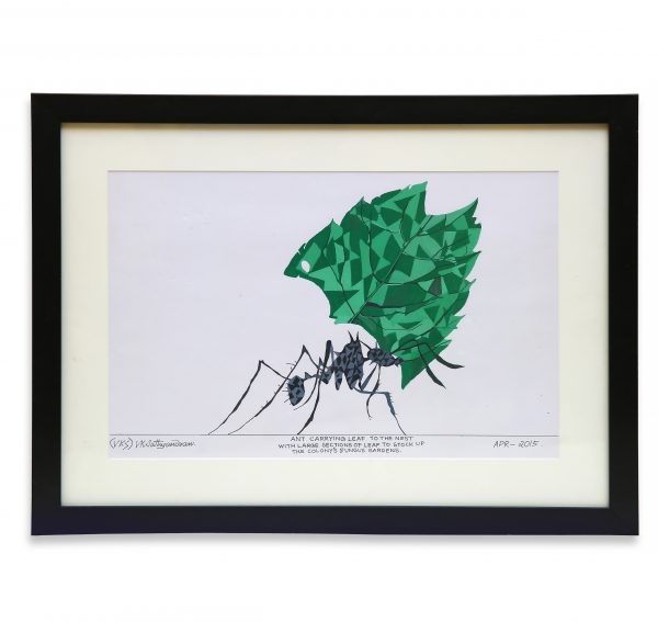 Ant carrying Leaf - Poster Colours on Paper